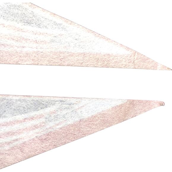 MLS Cup 1999 Foxboro Stadium Pennant - DC United v LA Galaxy - Picture 9 of 9